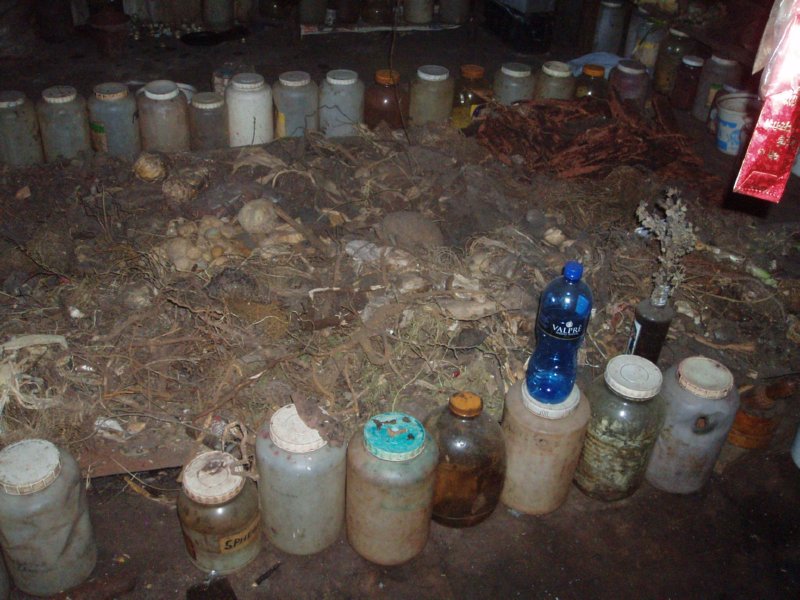 KeHa_in_South_Africa - 118